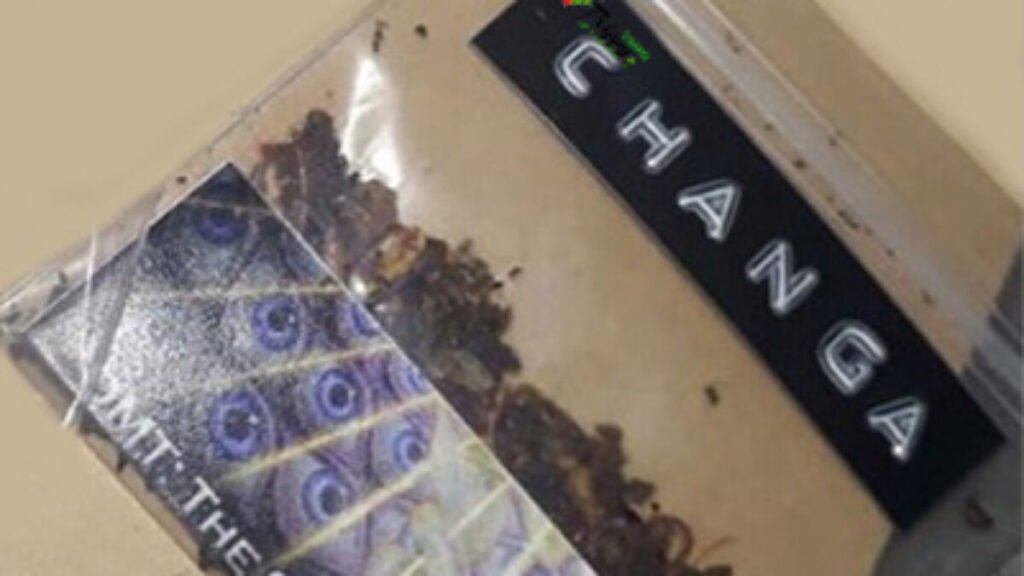 CHANGA DMT buy changa for sale online uk