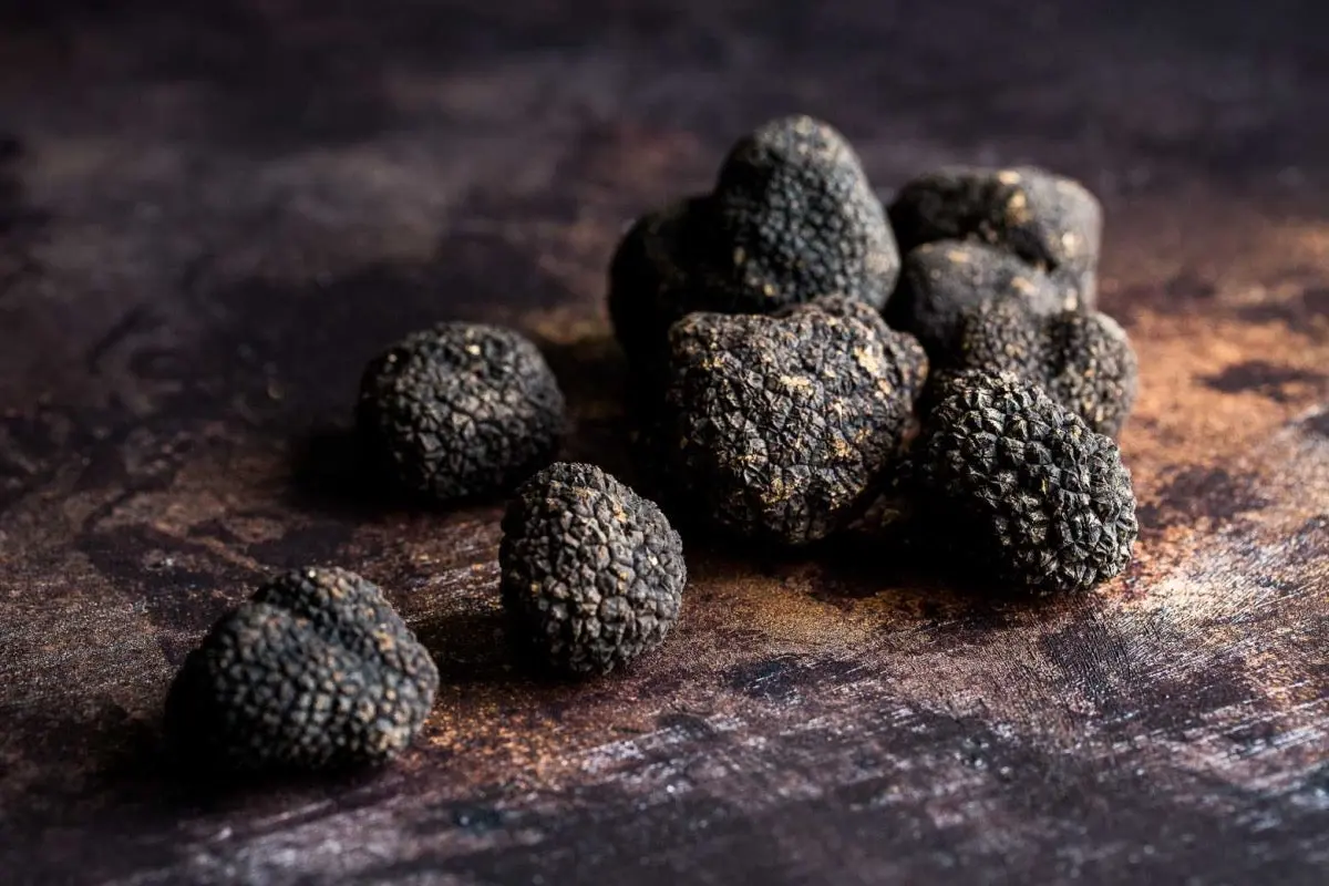 buy magic truffles for sale in uk, magic truffles for sale in uk
