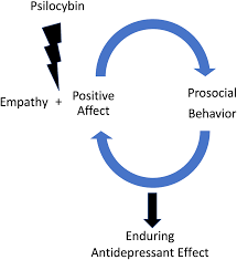 psilocybin mushrooms effects