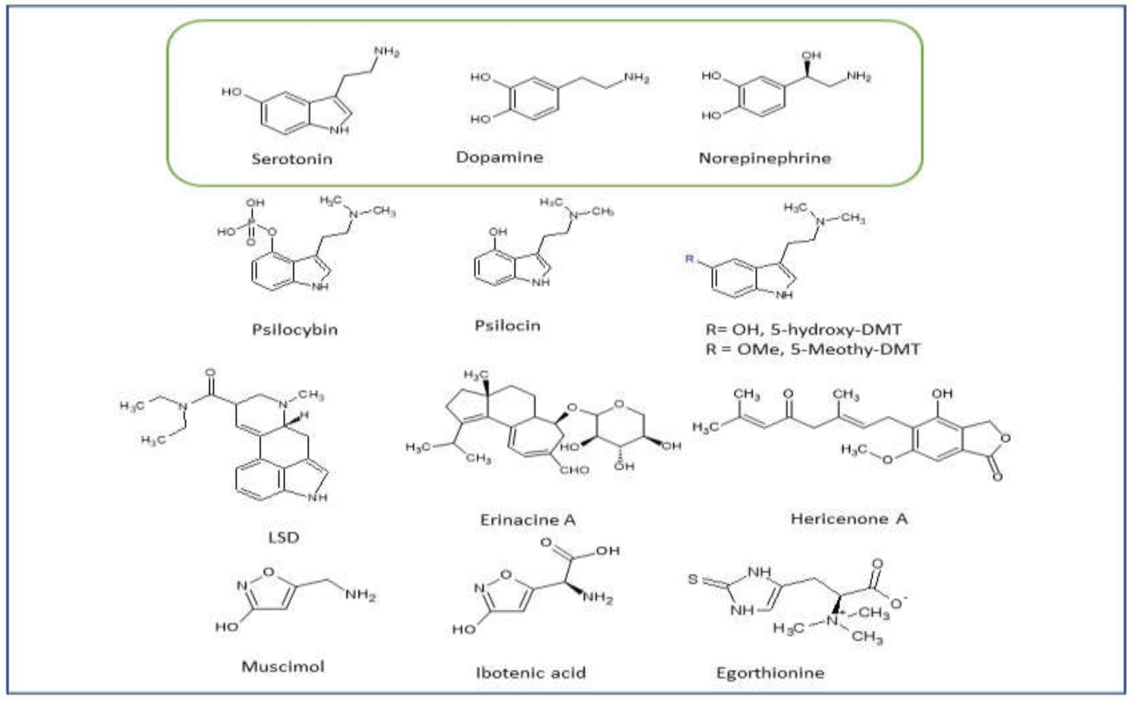 psilocybin for chronic pain