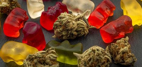 buy cannabis edibles for sale in the uk