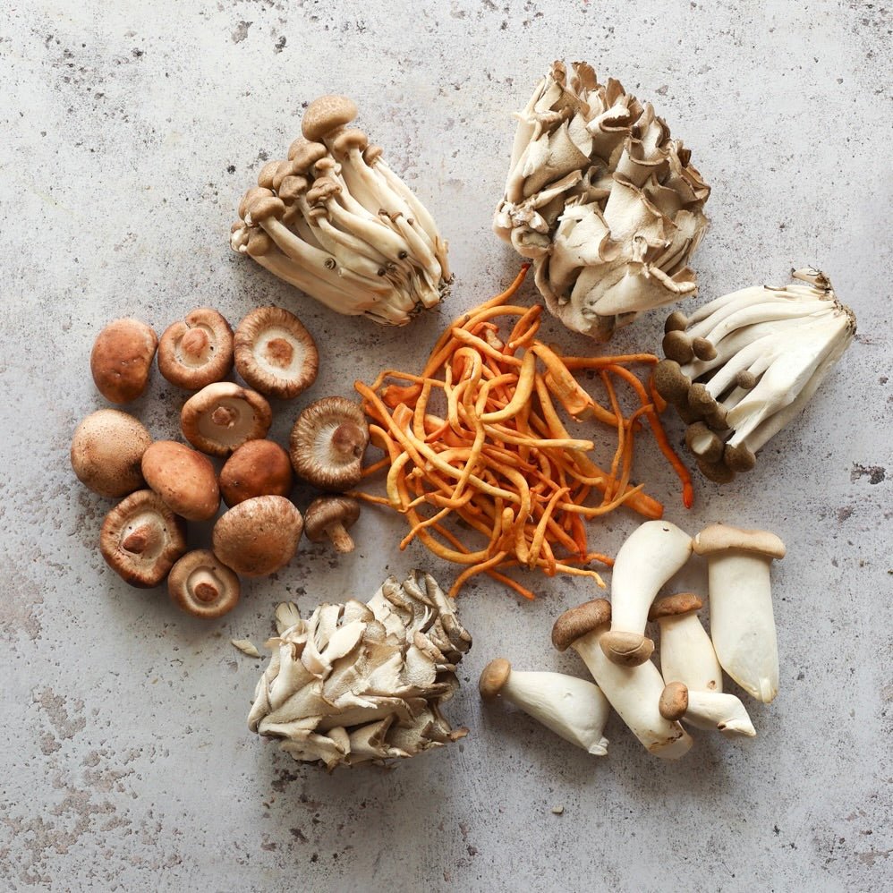 how to pick the right mushroom edibles
