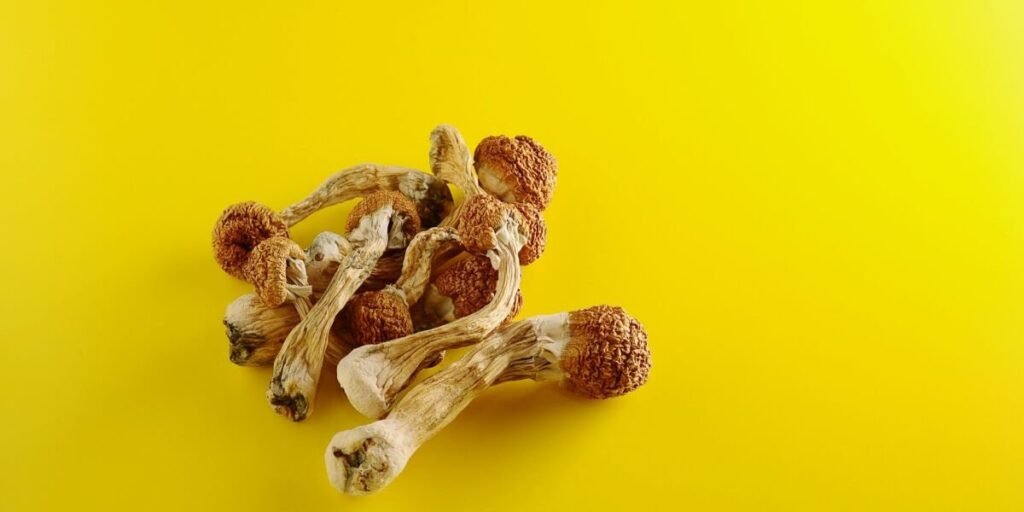 how long do magic mushrooms last