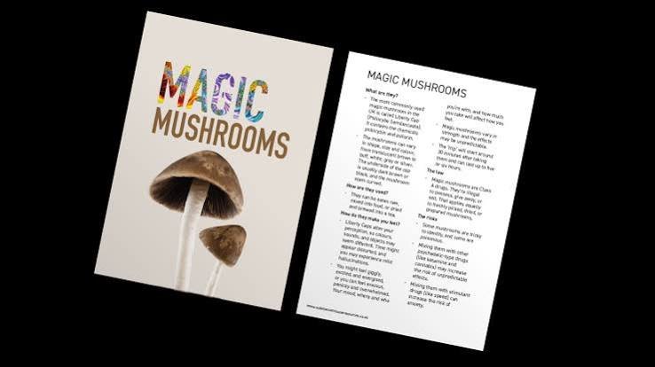 magic mushrooms testimonials uk