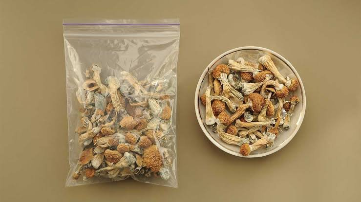 top shelf manchester mushrooms