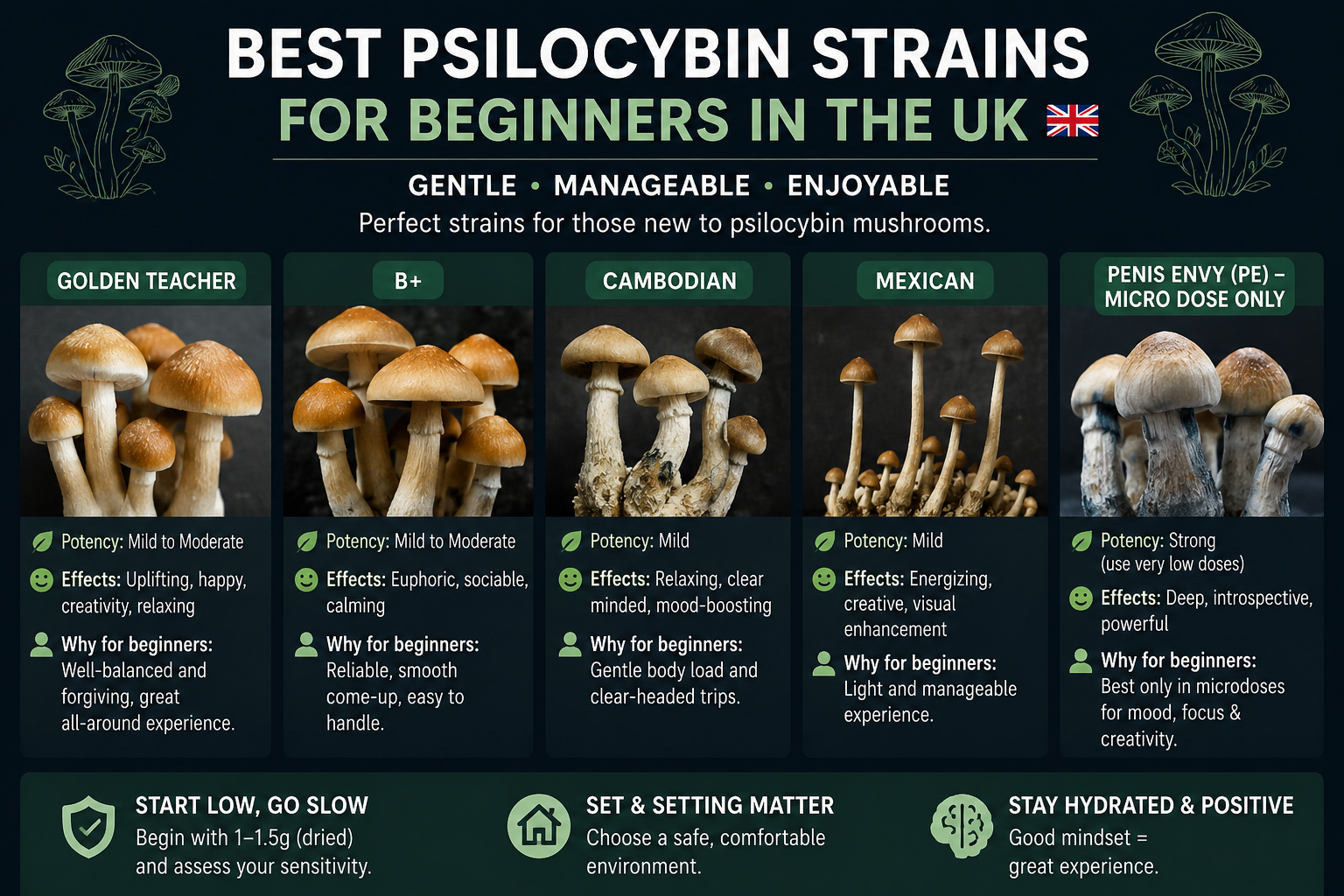 best psilocybin strain for beginners